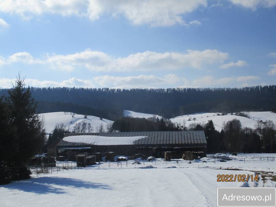 Hala/magazyn Zadwórze. Zdjęcie 4