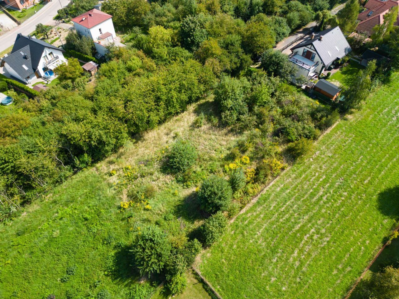 Działka rolna Szewna, ul. Langiewicza. Zdjęcie 8