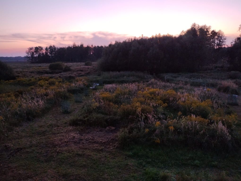 dom wolnostojący Niegowoniczki. Zdjęcie 2