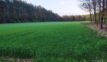 Działka budowlana Jeruzal, ul. Szkolna