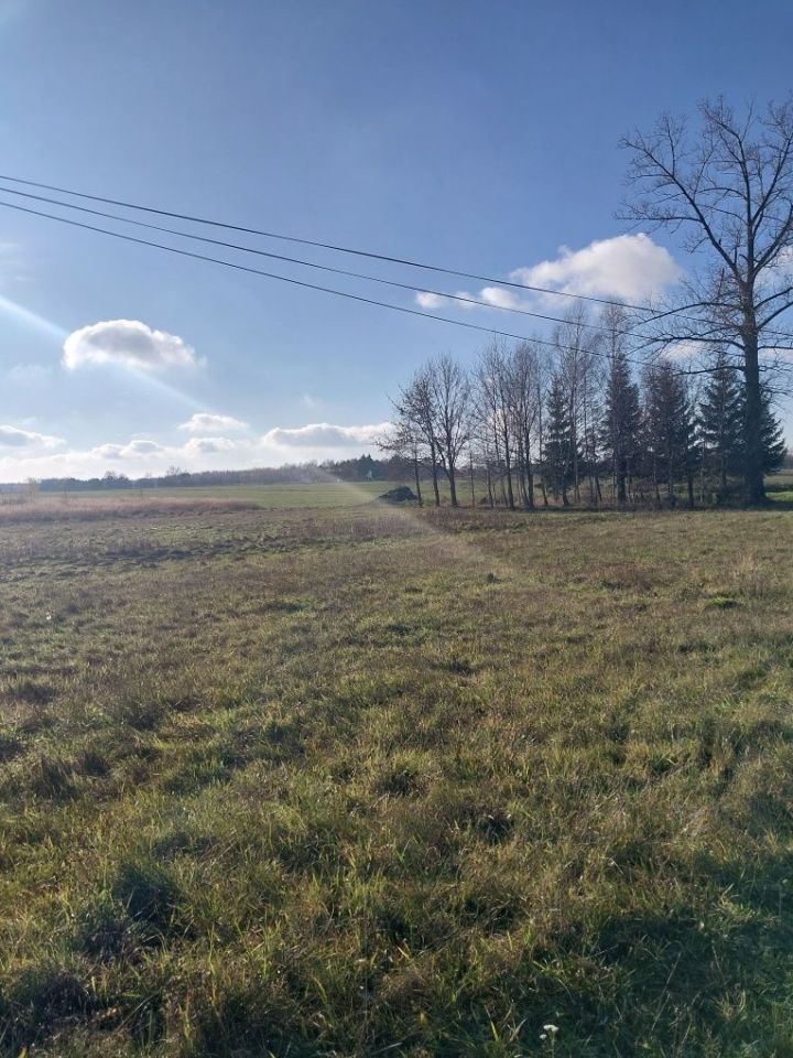 Działka rolno-budowlana Dobra. Zdjęcie 4