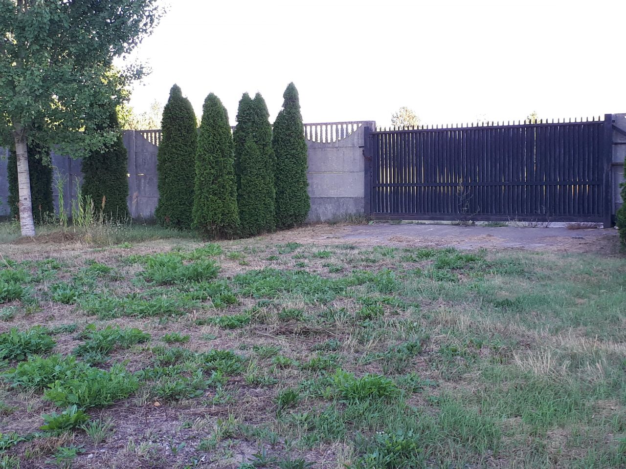 Działka budowlana Miąse, ul. Napoleońska. Zdjęcie 4