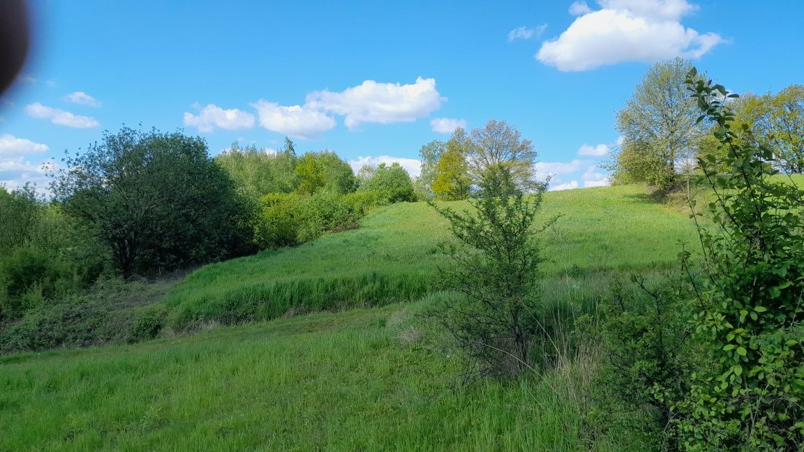 Działka rolna Kulerzów. Zdjęcie 2