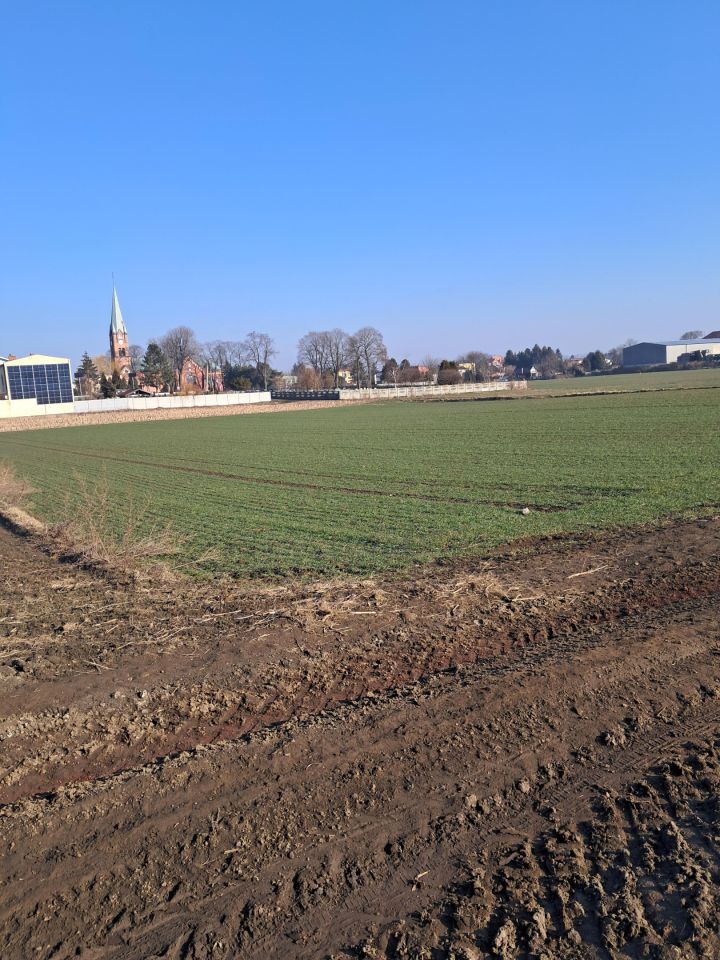 Działka budowlana Piekary Śląskie Dąbrówka Wielka, Zawiszy Czarnego/Dąbrówki . Zdjęcie 3