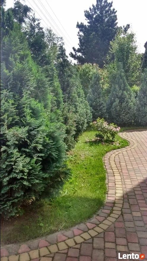 dom wolnostojący, 6 pokoi Łódź Górna, ul. Obywatelska. Zdjęcie 9