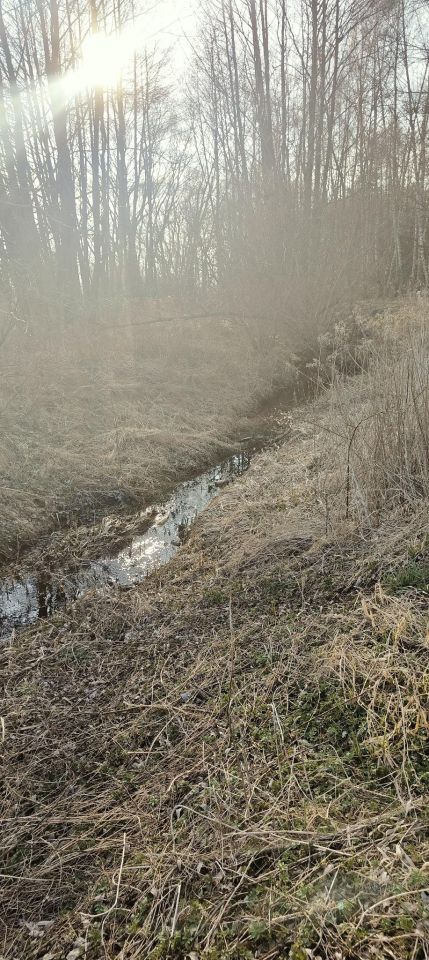 Działka rolno-budowlana Sieniawa. Zdjęcie 3
