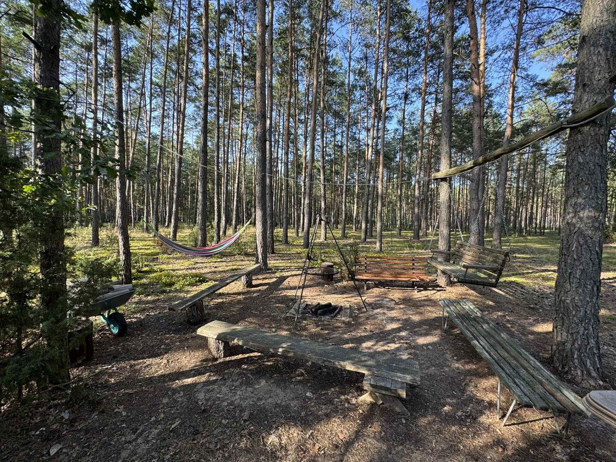 Działka rekreacyjna Golanka. Zdjęcie 18