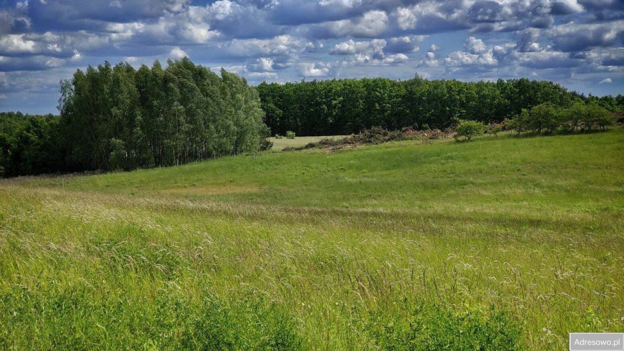 Działka rolna Łęgowo. Zdjęcie 3