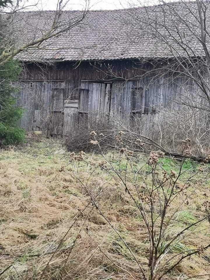 Działka budowlana Łępno. Zdjęcie 5