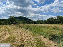 Działka rolno-budowlana Szarocin. Zdjęcie 3