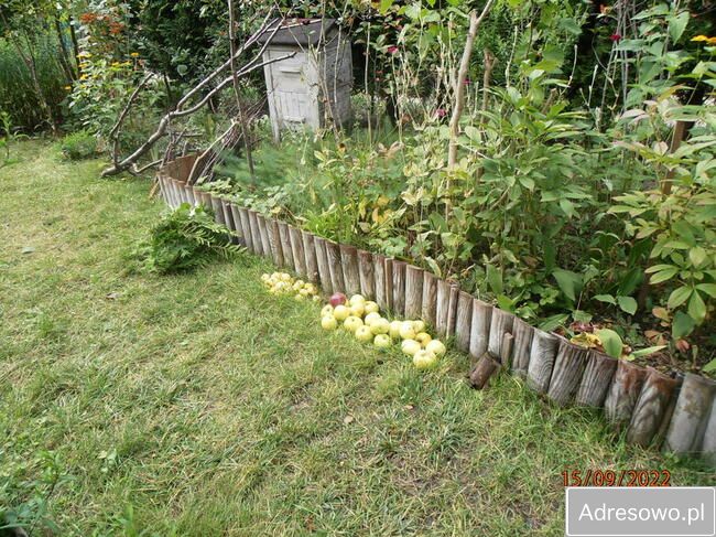 Działka rod Łódź Retkinia, ul. Franciszka Plocka. Zdjęcie 12