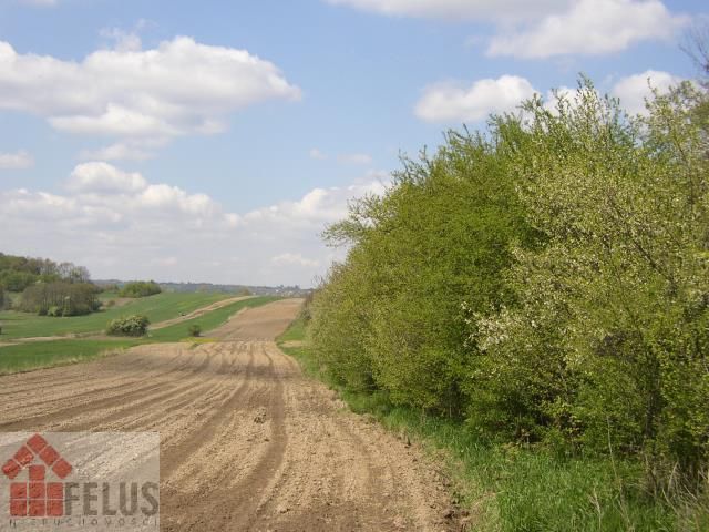 Działka budowlana Nowa Wieś Szlachecka. Zdjęcie 7