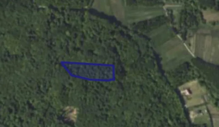 Działka leśna Poraj