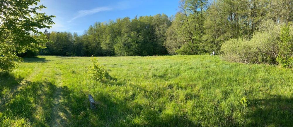 Działka rolna Miastko. Zdjęcie 8