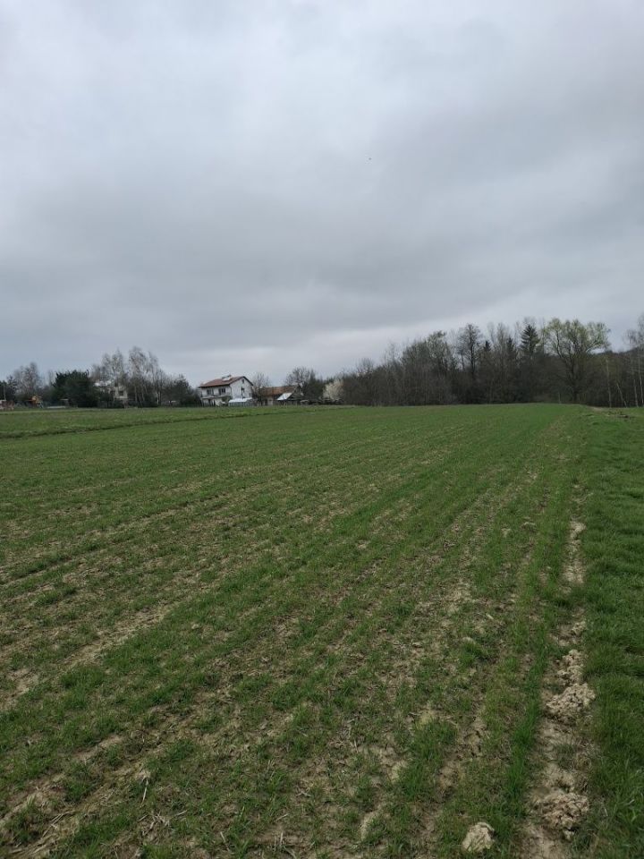 Działka budowlana Moszczenica. Zdjęcie 1