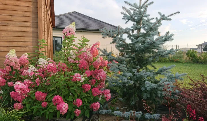 Działka budowlana Podolszyn Nowy, ul. Imbirowa