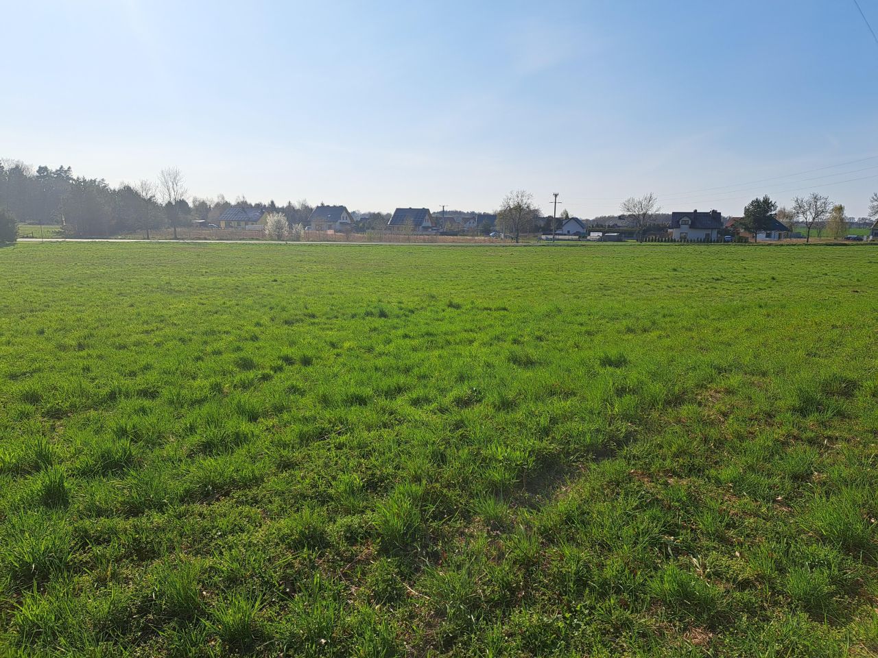 Działka rolno-budowlana Kicko. Zdjęcie 3