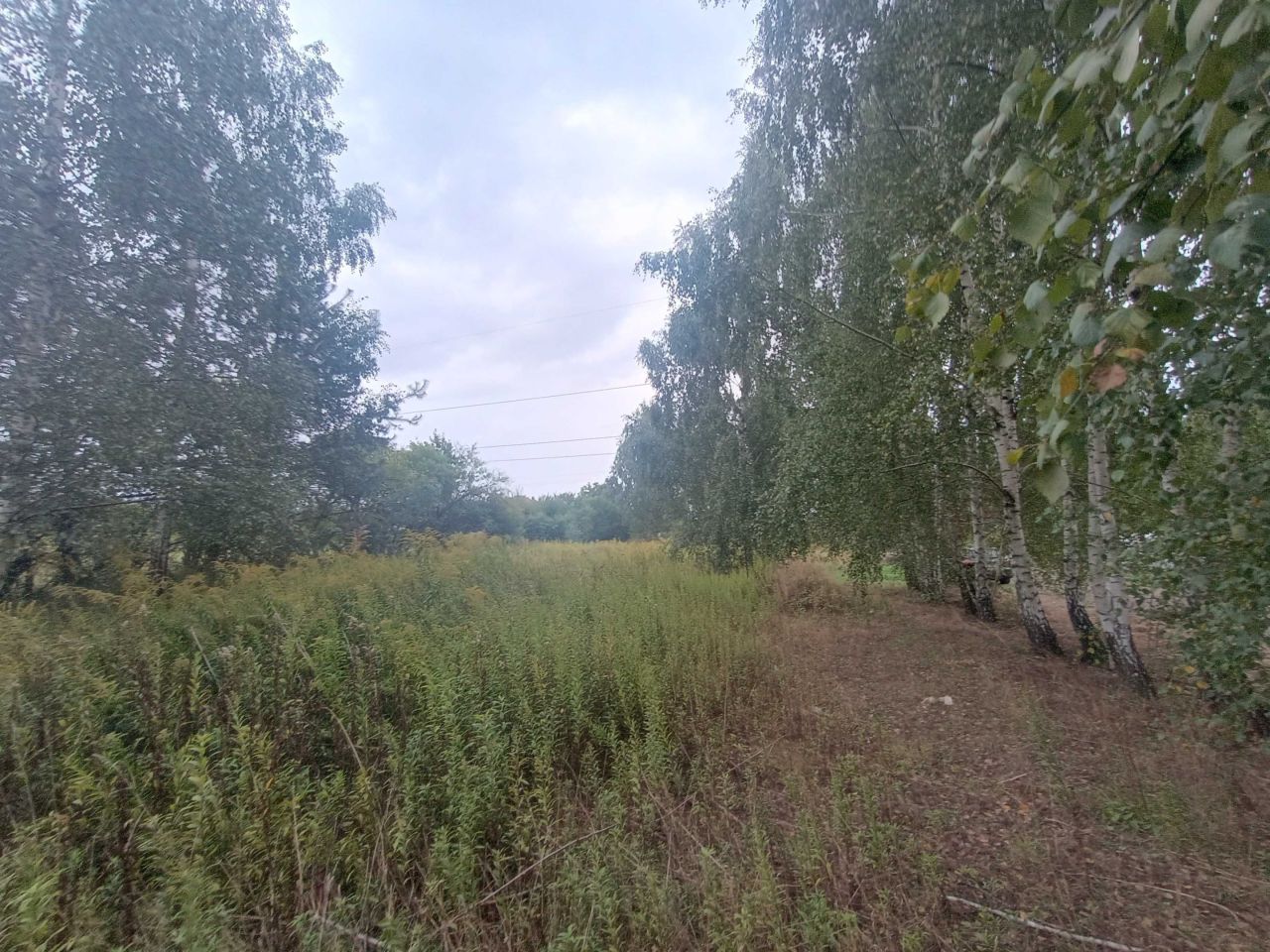 Działka budowlana Paprotnia, ul. Leśna. Zdjęcie 3