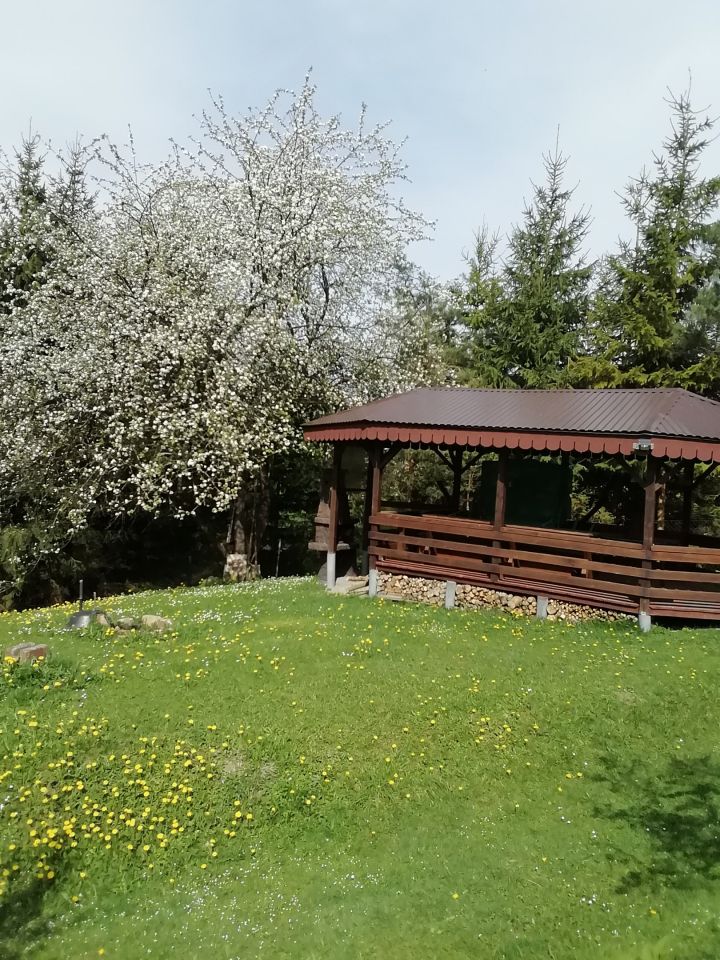 siedlisko, 7 pokoi Turzańsk. Zdjęcie 5