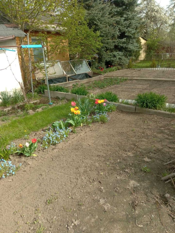 Działka rod Gubin, ul. Kresowa. Zdjęcie 4