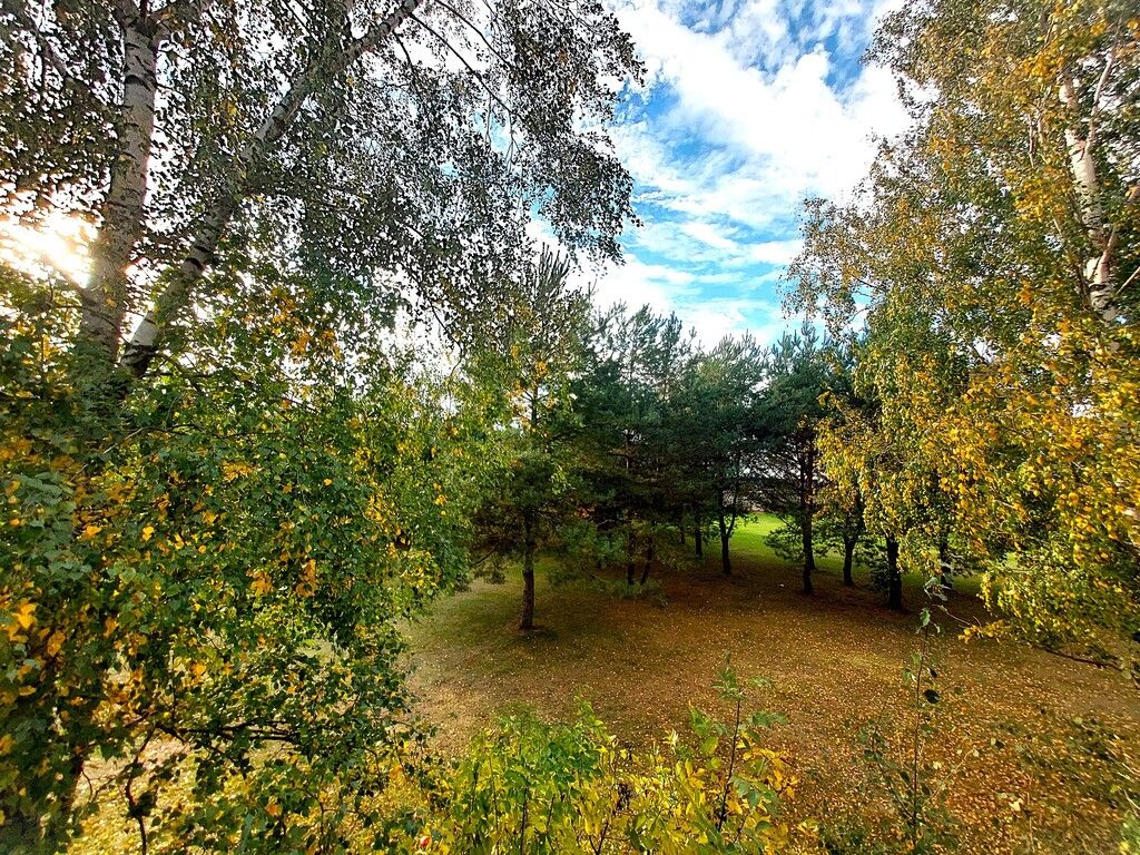 bliźniak, 5 pokoi Łódź Sikawa. Zdjęcie 3