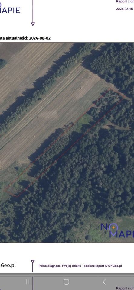 Działka leśna Dębowce. Zdjęcie 5