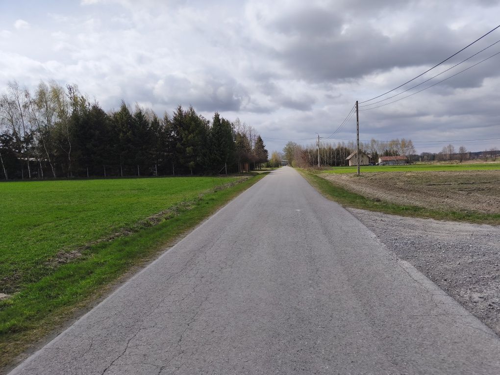 Działka rolno-budowlana Niwki. Zdjęcie 2