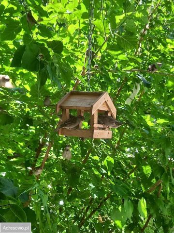 Mieszkanie 3-pokojowe Wrocław Fabryczna, ul. Jelenia. Zdjęcie 17