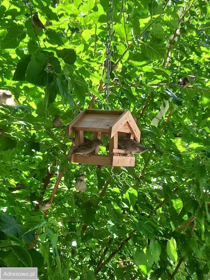 Mieszkanie 3-pokojowe Wrocław Fabryczna, ul. Jelenia. Zdjęcie 17