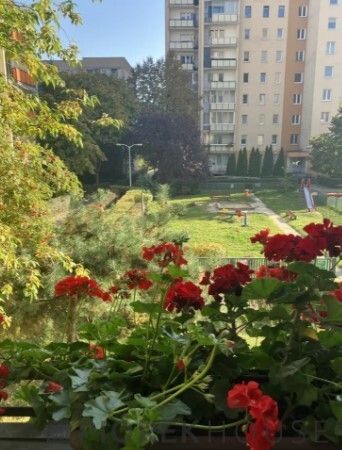 Mieszkanie 3-pokojowe Warszawa Praga-Południe, ul. gen. Leopolda Okulickiego. Zdjęcie 15