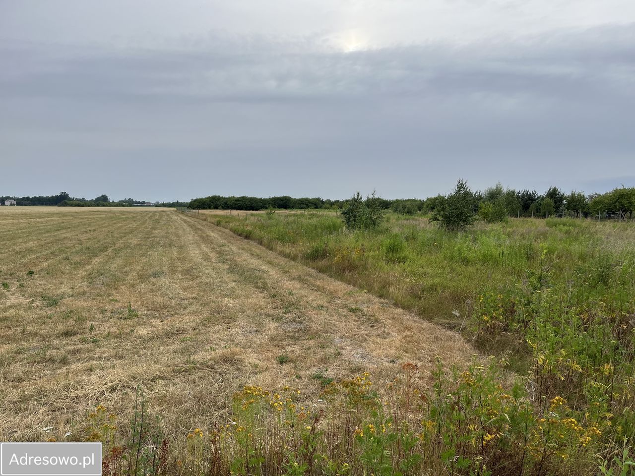 Działka budowlana Bednary, ul. Zachodnia. Zdjęcie 4
