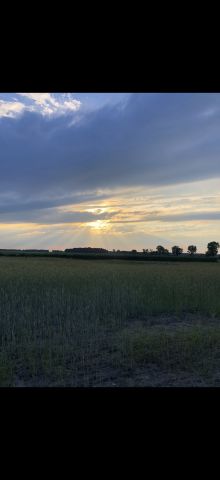 Działka budowlana Tarchalin, Wewnętrzna. Zdjęcie 8