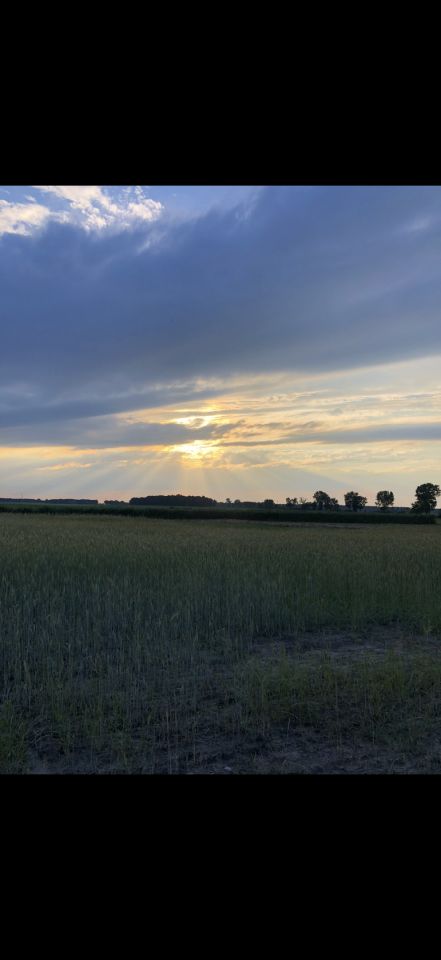 Działka budowlana Tarchalin, Wewnętrzna. Zdjęcie 8