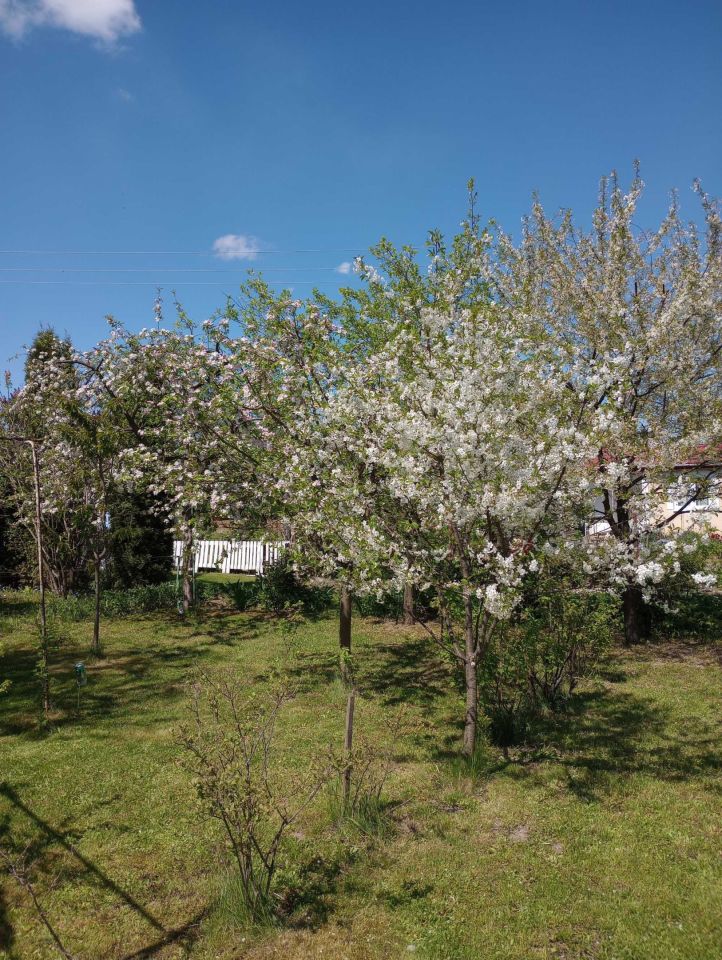 Działka rod Puławy, ul. 4 Pułku Piechoty WP. Zdjęcie 2