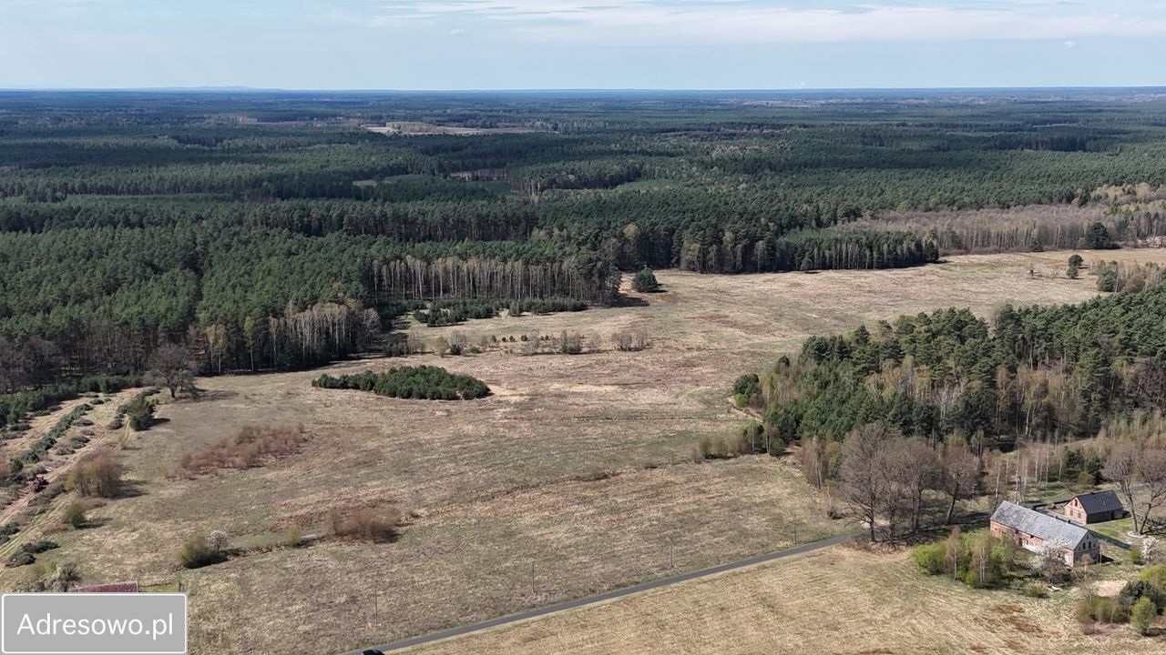 Działka budowlana Poświętne. Zdjęcie 1