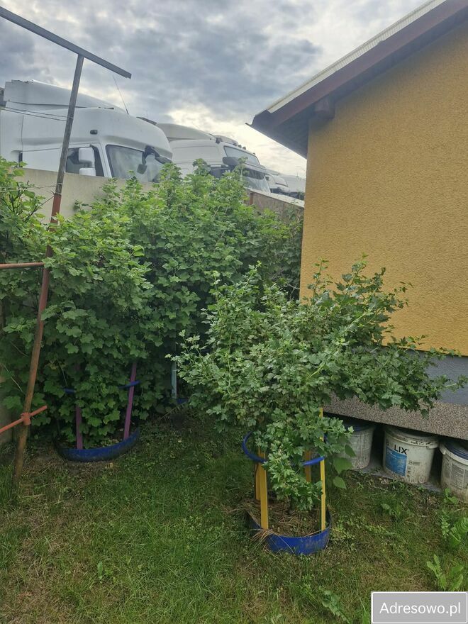 Działka rod Koszalin. Zdjęcie 11