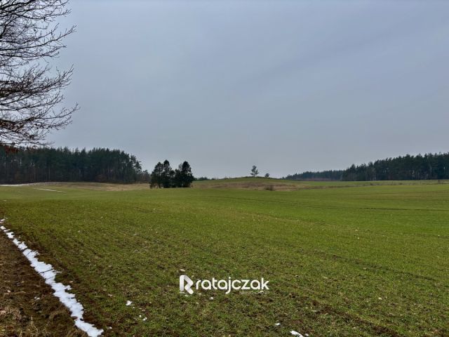 Działka budowlana Gdynia Chwarzno-Wiczlino, ul. Kazimierza Małkowskiego. Zdjęcie 7