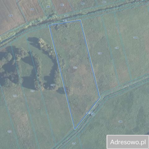 Działka rolna Starosiele. Zdjęcie 1