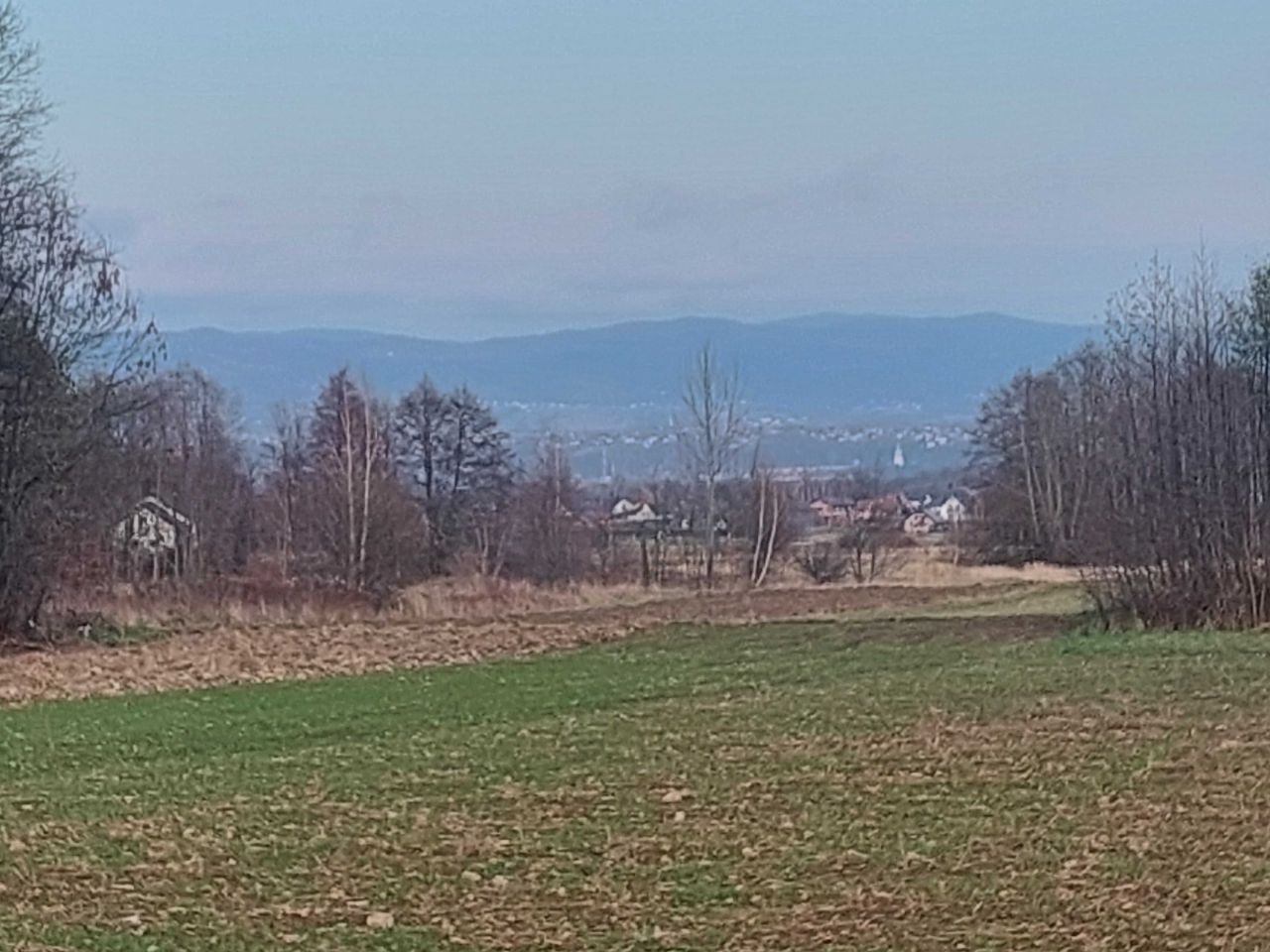 Działka rolno-budowlana Radziechowy. Zdjęcie 7