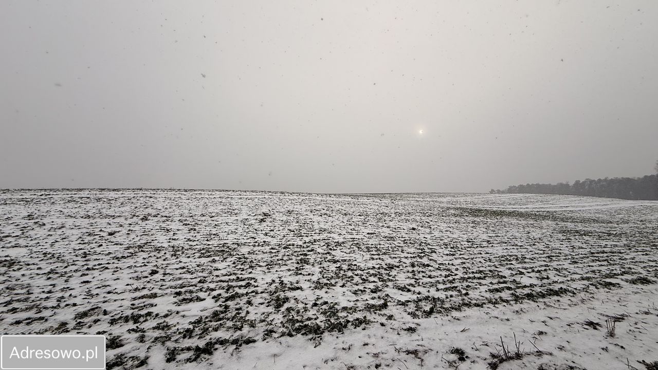 Działka budowlana Ostromecko. Zdjęcie 6