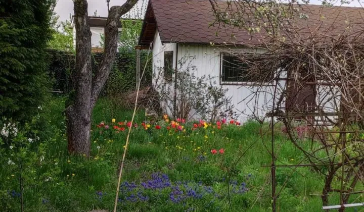 Działka rod Dąbrowa Górnicza