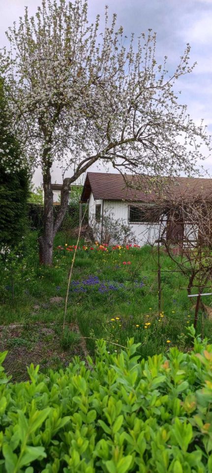 Działka rod Dąbrowa Górnicza. Zdjęcie 1