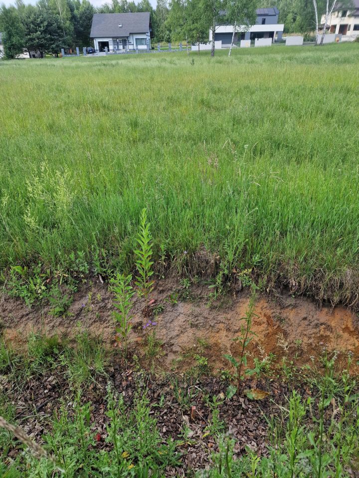 Działka rolno-budowlana Rudnik Wielki, ul. Gajowa. Zdjęcie 31