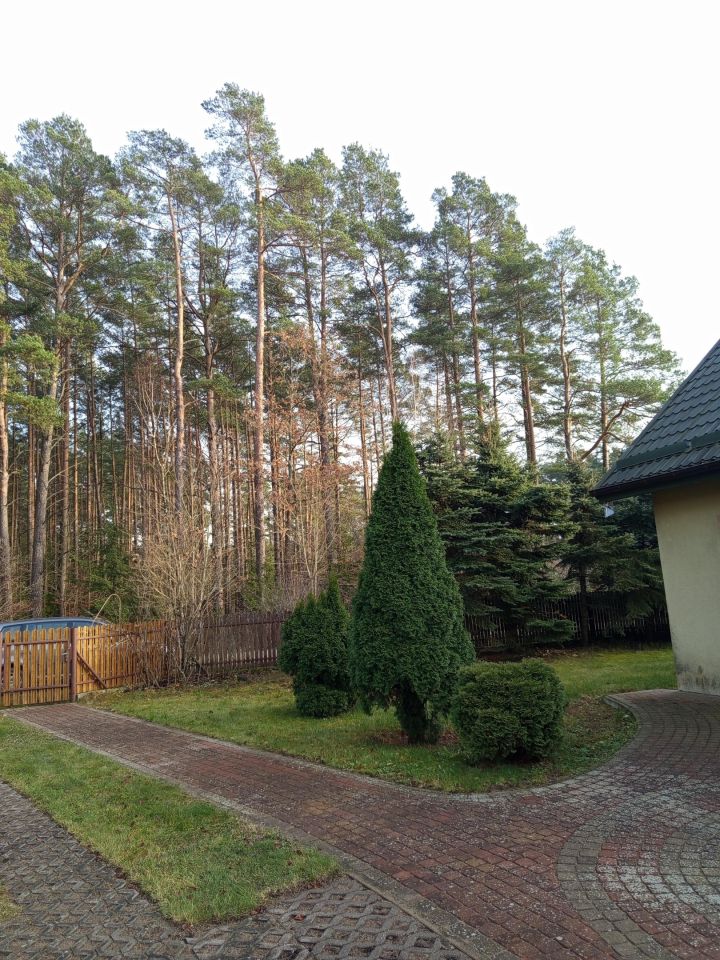 dom wolnostojący, 4 pokoje Płozy. Zdjęcie 15