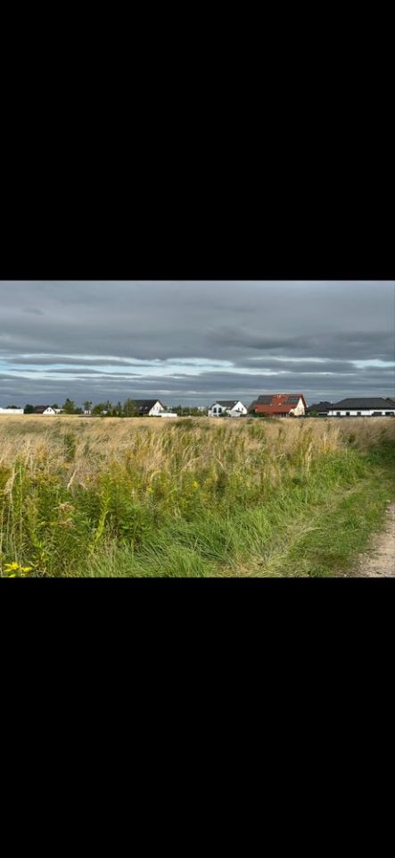 Działka budowlana Oława Nowy Otok, ul. Iglasta. Zdjęcie 1