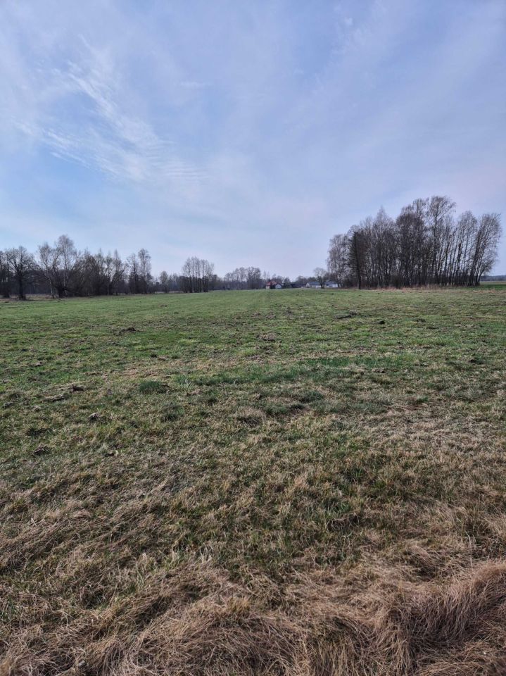 Działka rolna Borki. Zdjęcie 2