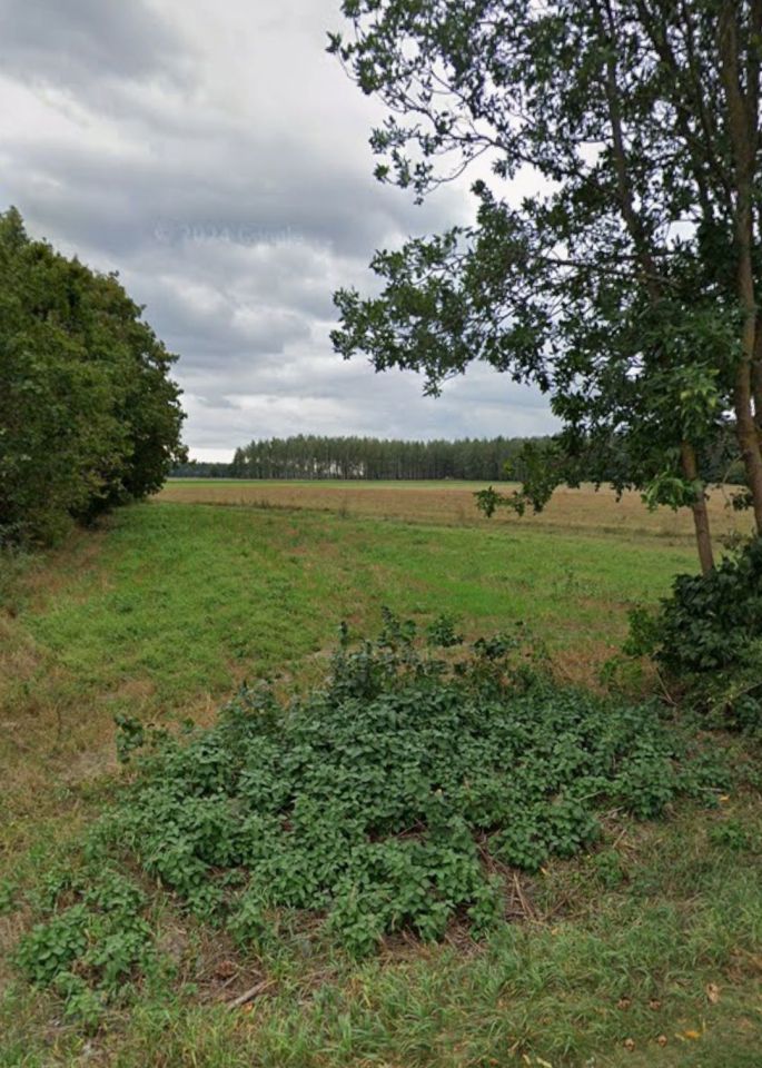 Działka budowlana Rozogi. Zdjęcie 2