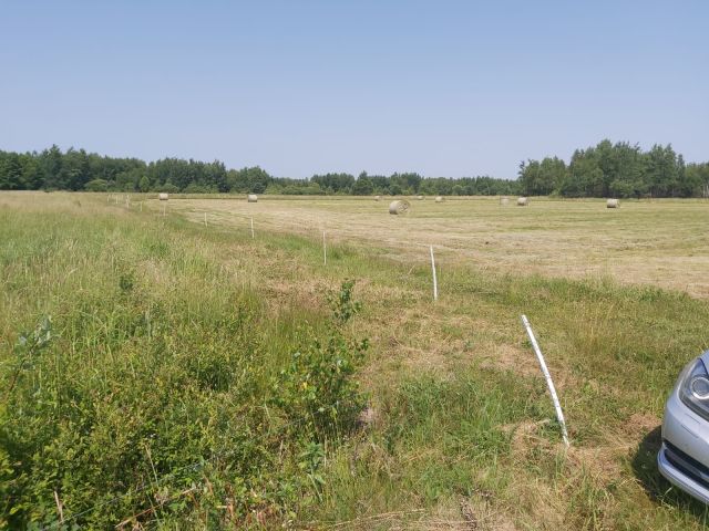 Działka inwestycyjna Broniów. Zdjęcie 7