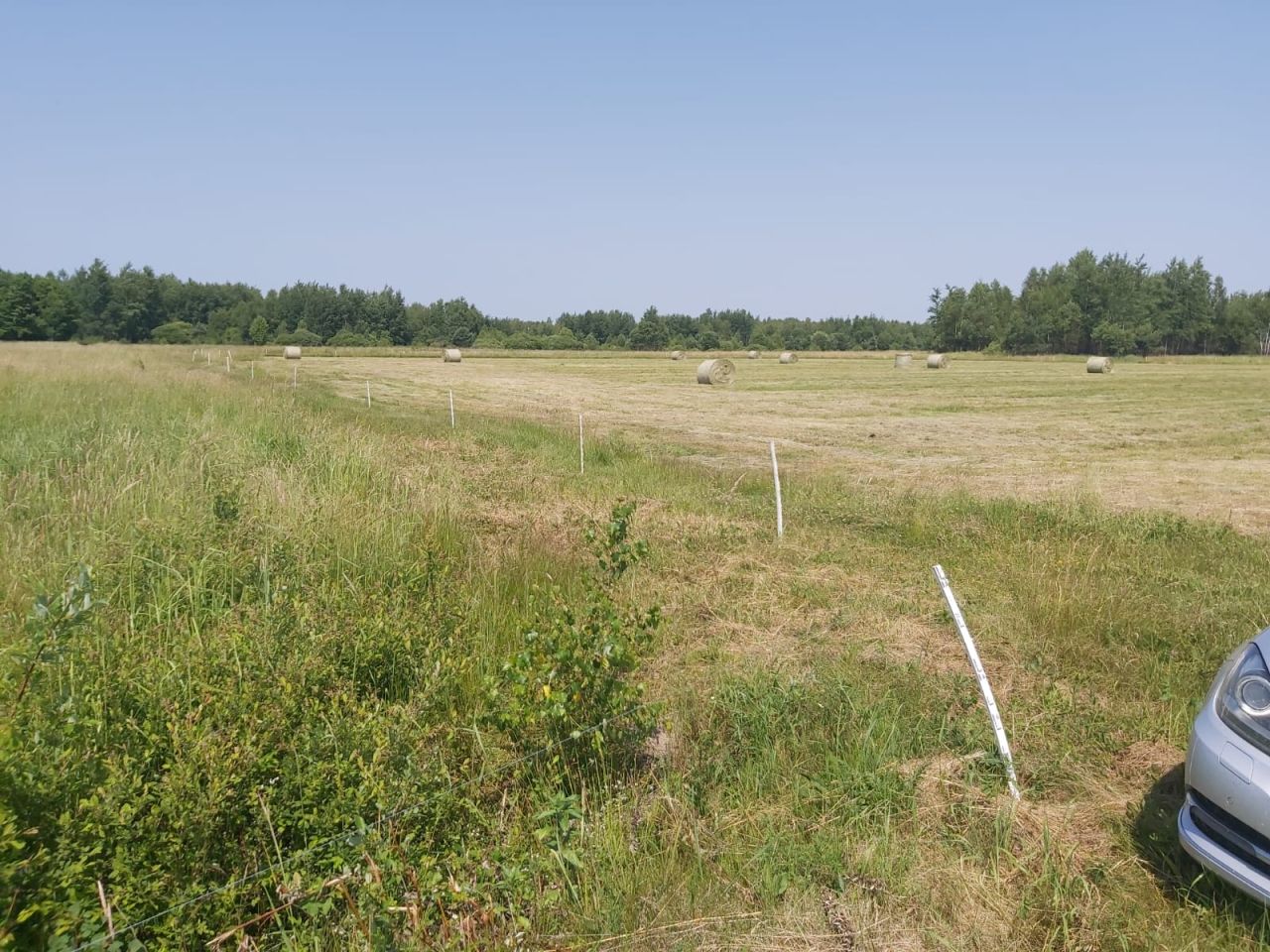Działka inwestycyjna Broniów. Zdjęcie 7