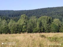 Działka inwestycyjna Łodyna. Zdjęcie 4